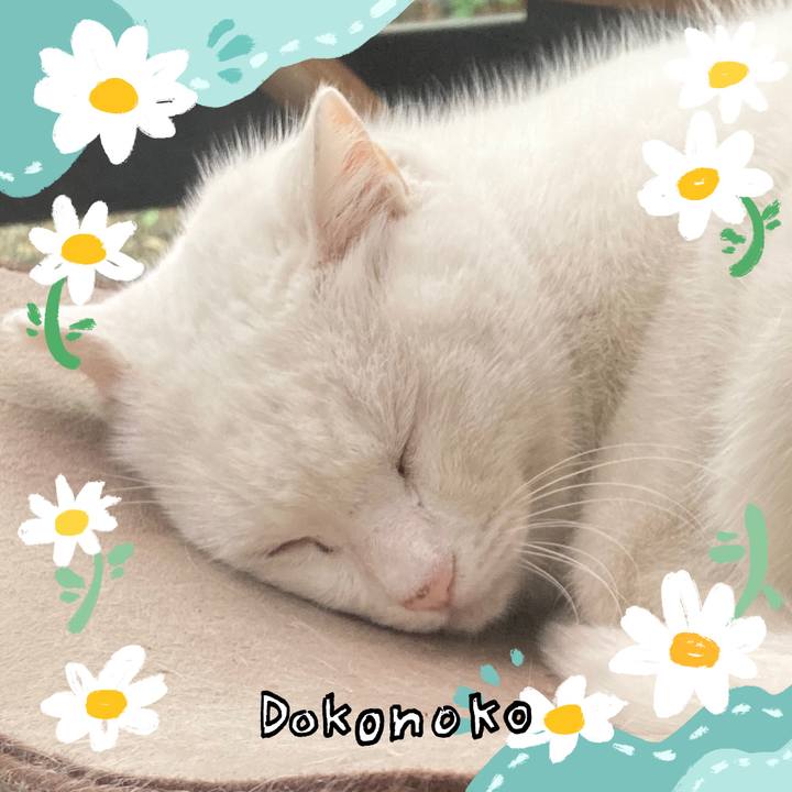 05d89739 5da1 4249 930e 80152cfb5166 1712217765234