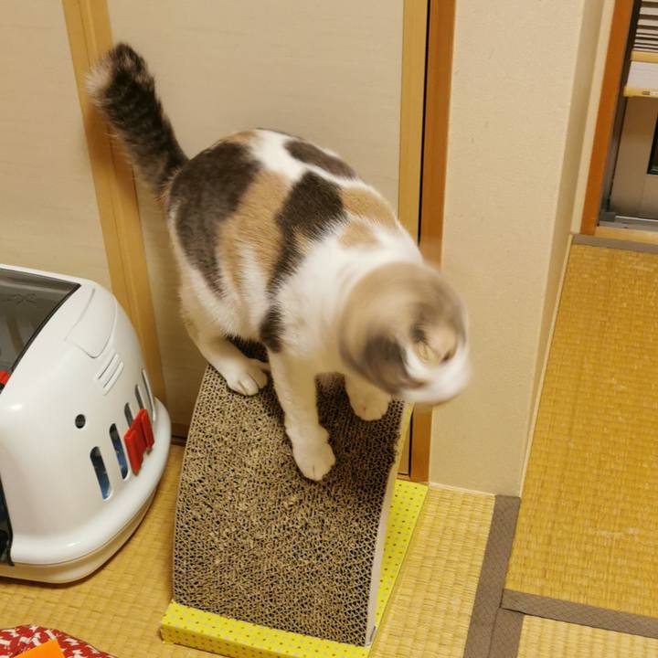 05d900c9 fadc 4f20 9af2 7b4550ffd37e 1659771100888