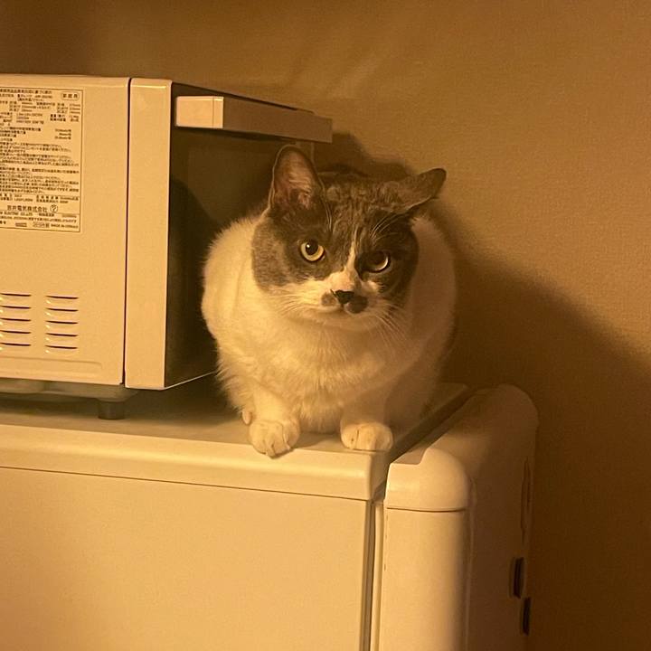 05d902ee 7277 4d65 be31 278b051ddb56 1728816037074