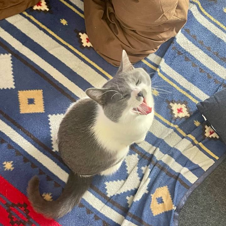 05d93eaa 5cc9 4963 ae06 ecb007c6de13 1677563375625