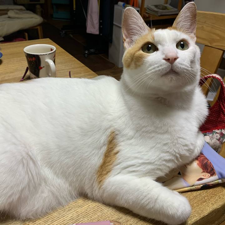 05d9499f cc64 40b7 99aa a7987fb0b5df 1591017042353