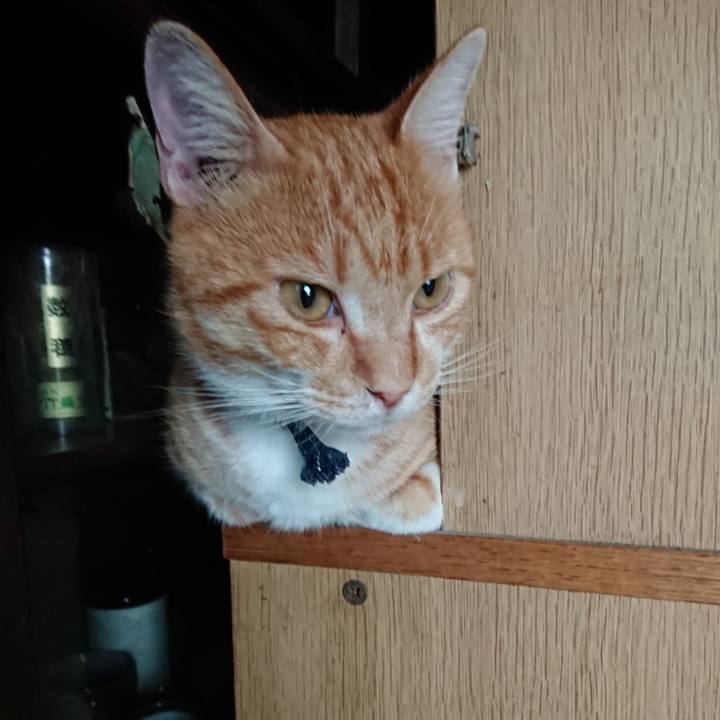 05d94f77 5c93 4cb7 b7a5 adf0702f108e 1565209402342