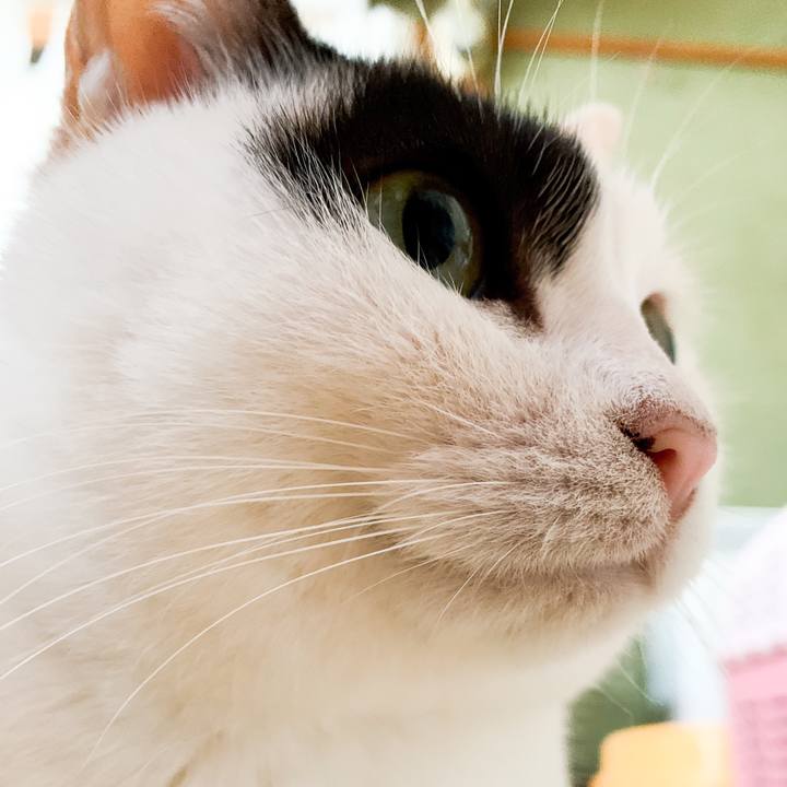 05d97c58 cb6f 4bcc 895b 754a6a61d3b9 1548467105466