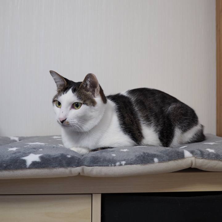 05d9b6cb 4585 46ab a26c f71c0377c485 1548716585146