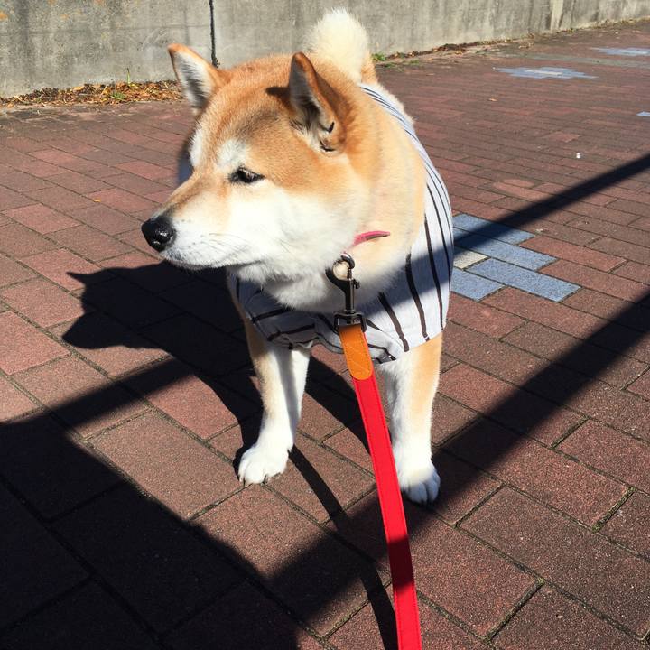 05d9d652 ce65 45a8 b01b 8e4988f927a8 1577504731590