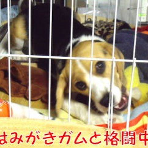 05d9d8a5 e2e5 4ae7 a0ab 59abd539c6a2 1685144988279