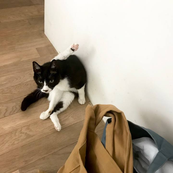 05d9e479 d479 4ee5 bac7 731c7da828c7 1525590985164