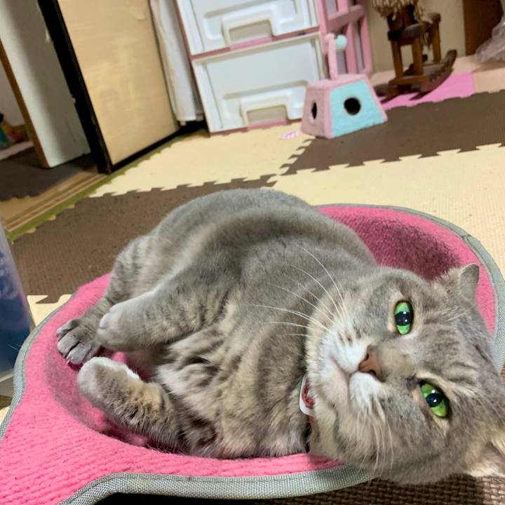 05da3840 2bb2 47ee 857a c9fa977a2baf 1612701291526