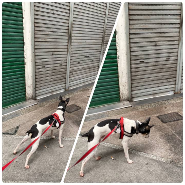 05da5624 603e 42fb 837e 871a6600626c 1589679692760