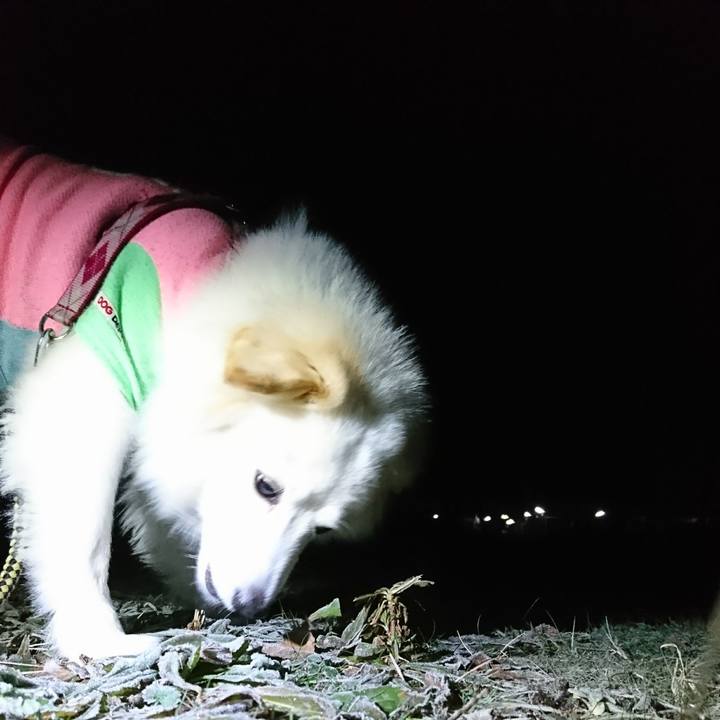 05da8def dcd6 4bc2 aae0 02c17dd1adcb 1515617392675