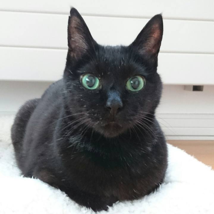 05db03ff e4a4 4b58 9b3a f67b64be8d9c 1512382955172