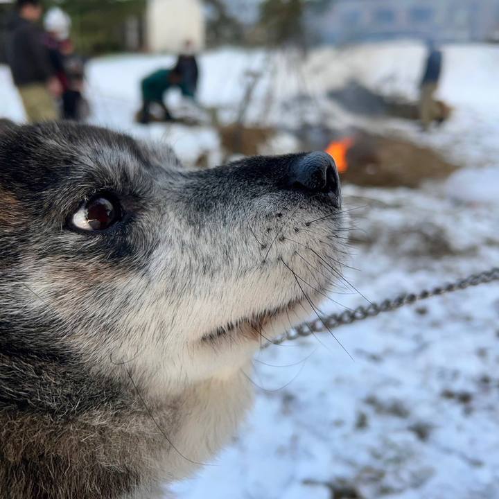 05db0844 0a5f 48c8 9399 cdd3c96e6e50 1705217718238