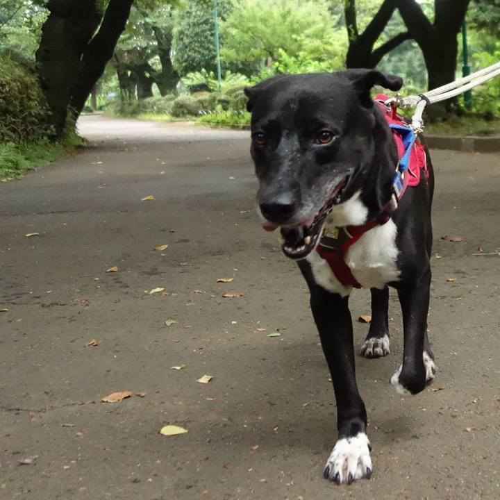 05db0b18 a396 4fb1 bbc7 fed3792e4643 1656889524888