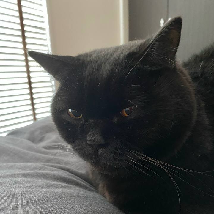 05db4027 5415 4174 bcae 6b490d6f8b84 1703545748831