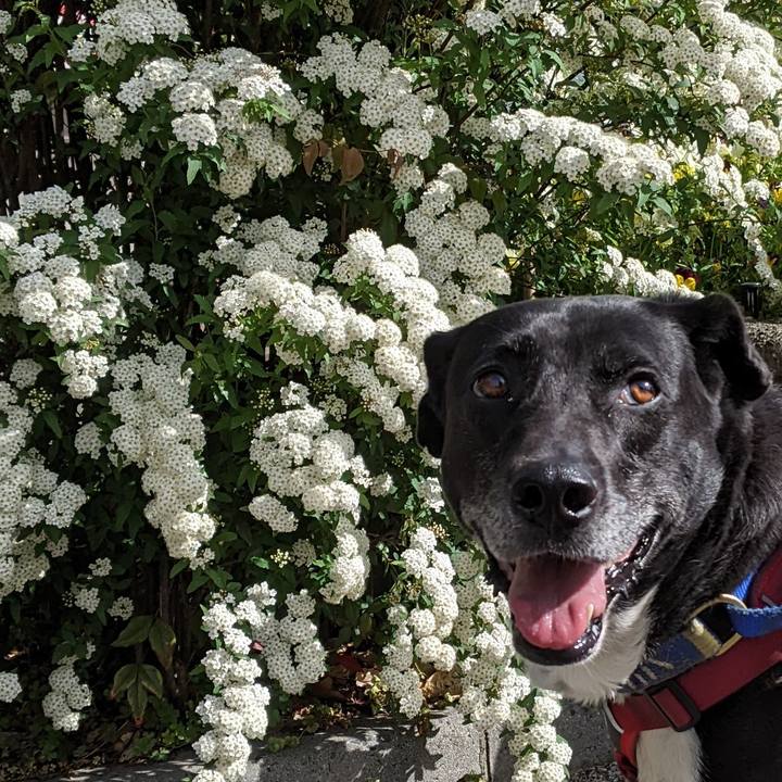 05db519c 704c 416a 9647 51ac59d5c962 1681346322996