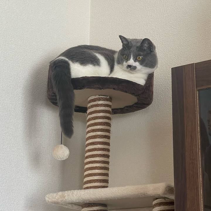 05dbee05 3119 4397 b39e 4f997eab75a0 1672540070157