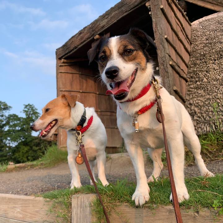 05dc4e60 8dba 453c a995 f9ebf16ff28d 1564611576101