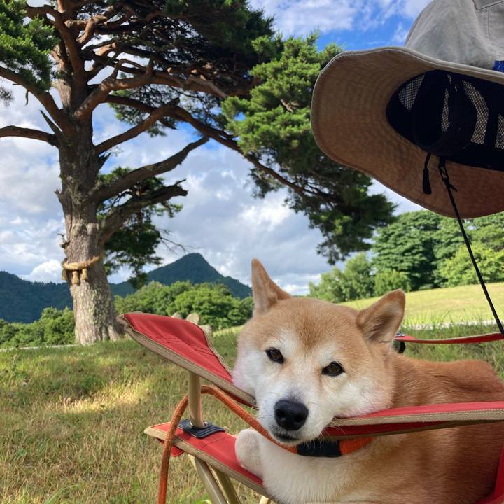 05dc6a5f df53 4de7 9c6e 2ad38568c9a2 1754118681160