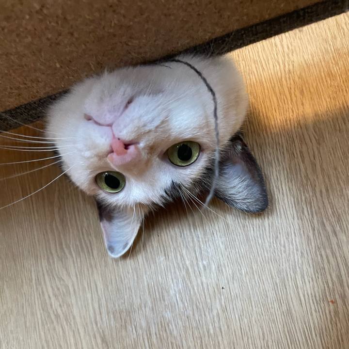 05dc95e1 7acd 486d 8e82 32996e75ce9e 1725236961556