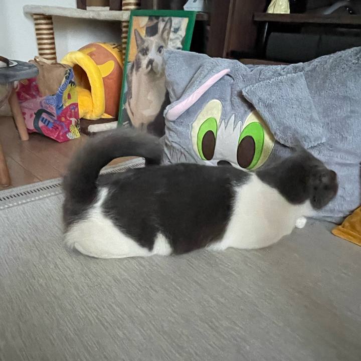 05dca08e 7e5b 4f4c 8eff e59f26d7c74d 1752475309785