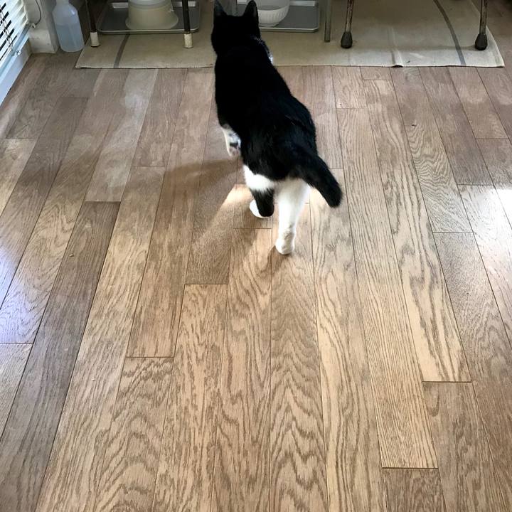 05dcd92b c80b 4adf a09e f91aac0c833a 1577169160217