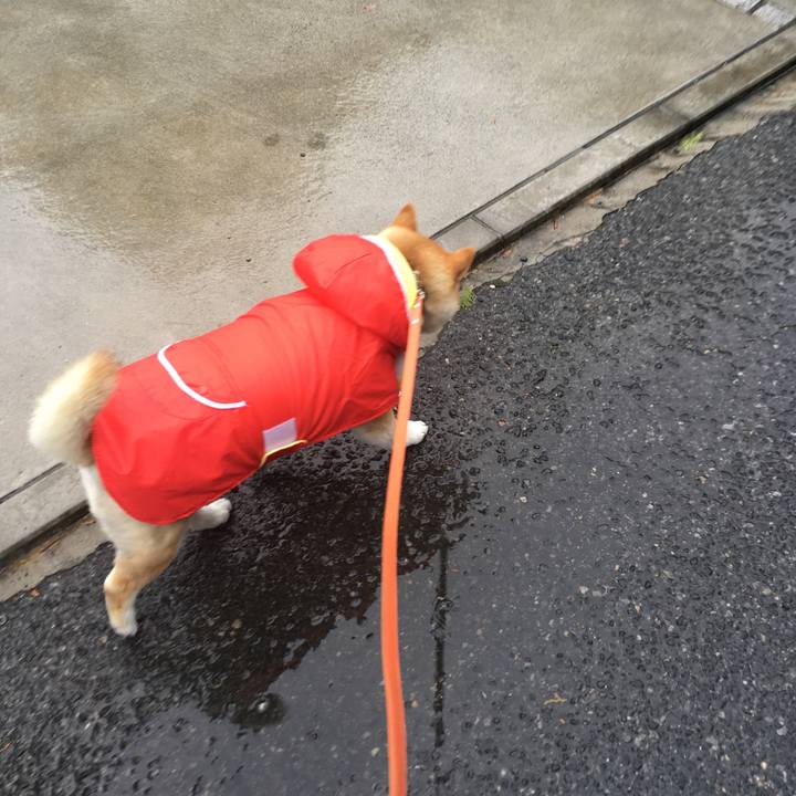 05dceae5 d479 40a7 902c 6e427fafe1f2 1583635444880