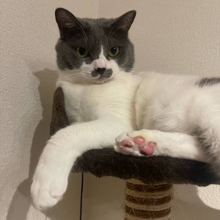 05dd1ed7 3d1b 4d55 9e10 5a5de488a371 1692965768874