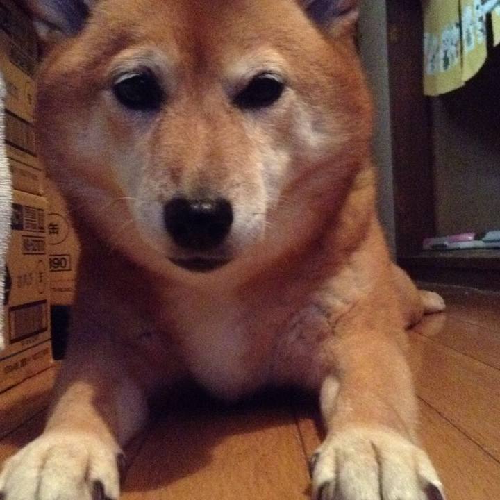 05dd2f92 0ee8 42cc 9d6c 51327a569384 1540717066699