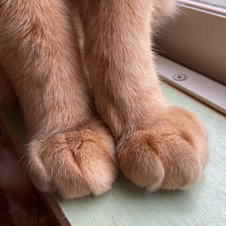 05dd5b28 351b 40f1 a942 38bae26cfbd9 1766816991949