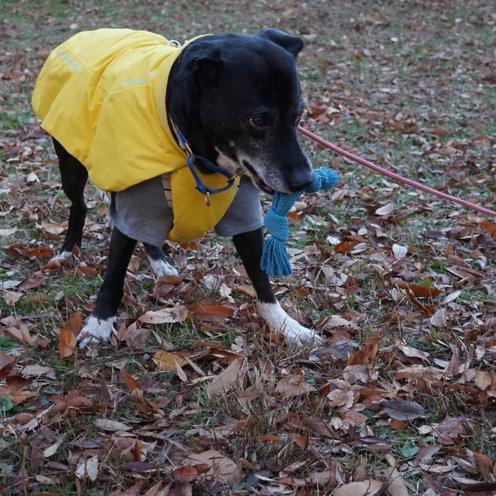 05dd742f c720 4a4c 9dd3 4308f195e77d 1766017876928