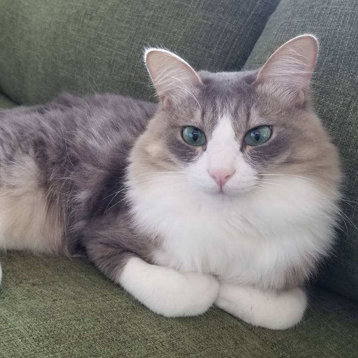 05dd7ffc 8d41 4a7a 9aa0 4e6c147190ef 1557908455752