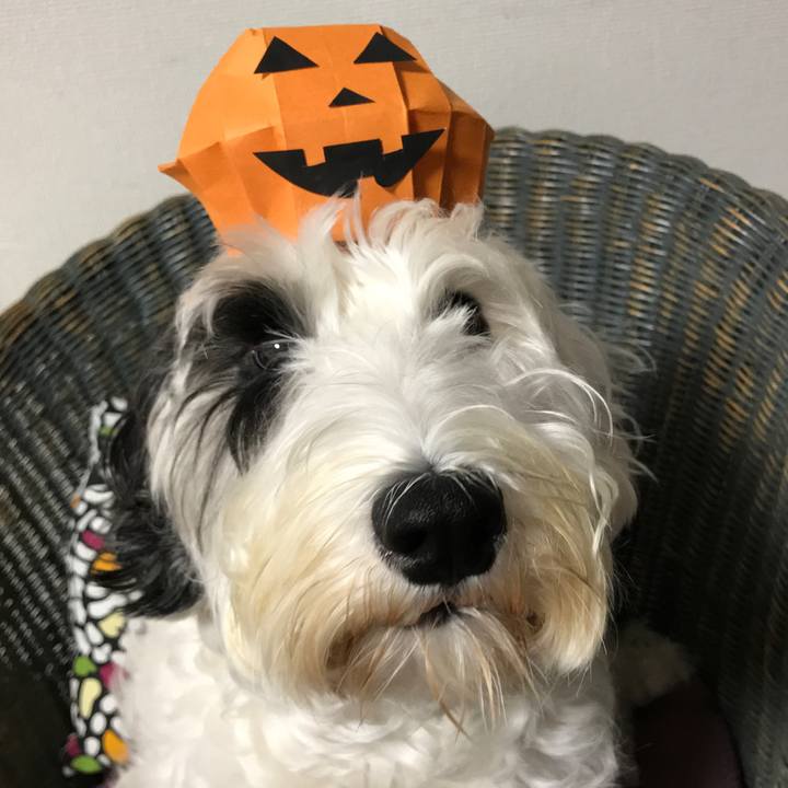 05dd8d07 ff28 4fa1 9ffd 4c96d7ecad4e 1509362338388