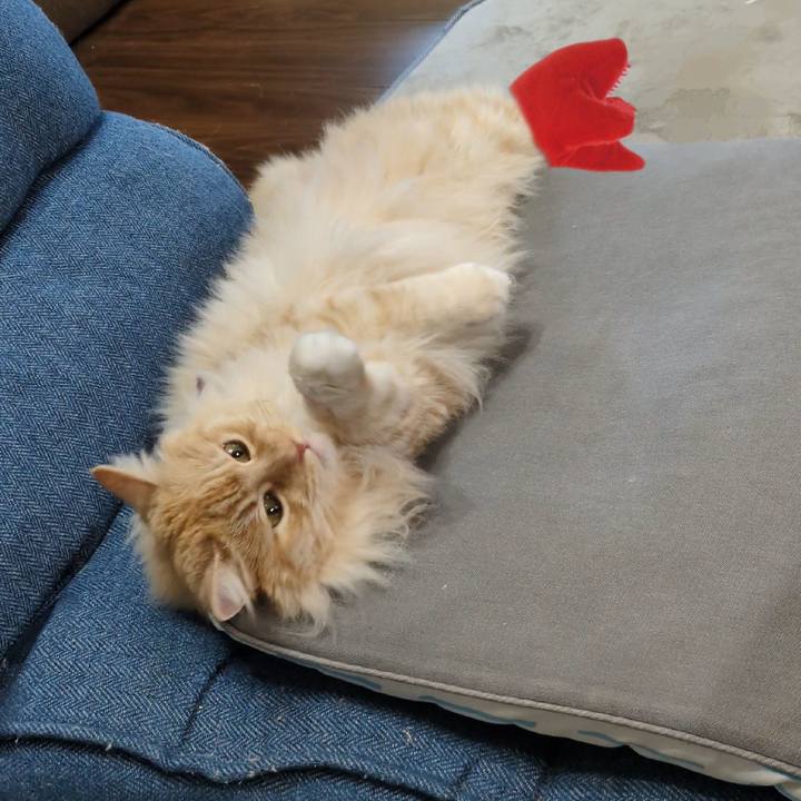 05dda405 1ced 4710 a309 2962b6bc7a75 1750583277943