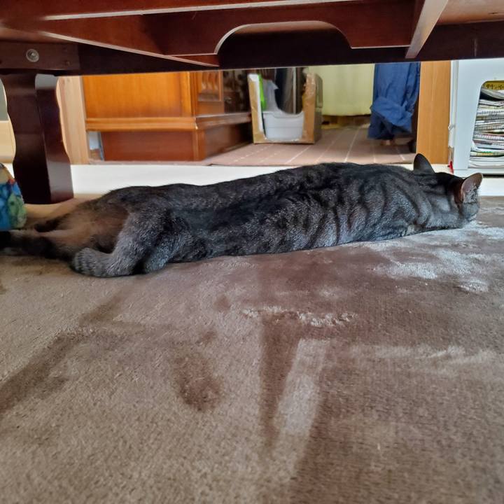 05dde7e8 7a5e 43f8 992f 5335af92c71e 1716513566322