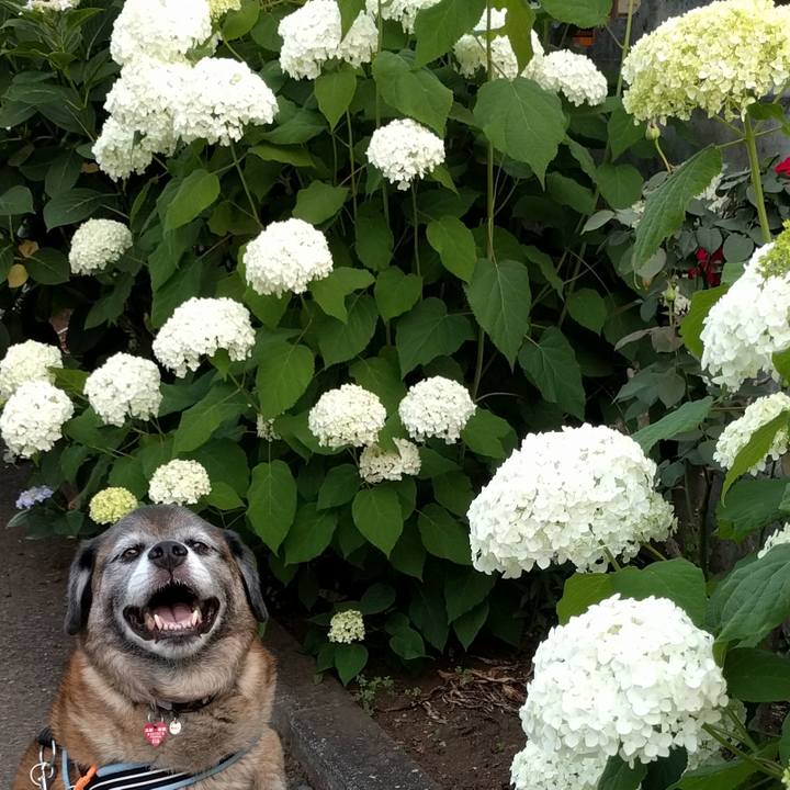 05de2157 274c 4d47 bcbd 1666f6995f78 1623475657556