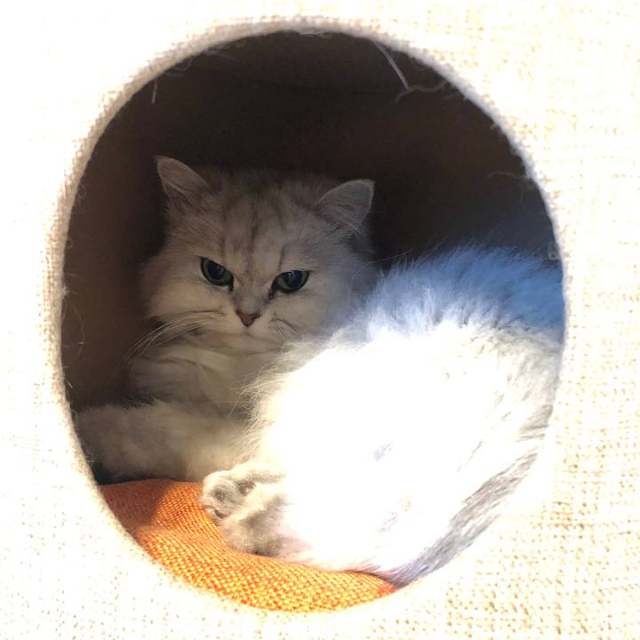 05de2630 9151 4340 b017 569a23cb2c6a 1582876734760