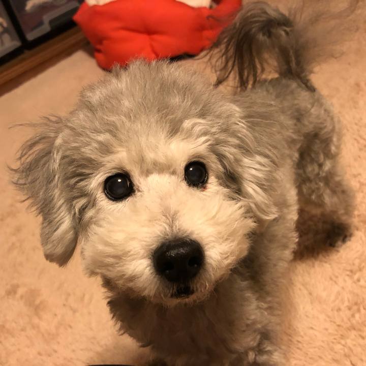 05de5598 1b48 4bcf 87e8 b6a6ee03c144 1548858524658