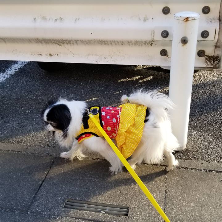 05de6009 8fe8 4f07 8201 33435ab33747 1553415619585