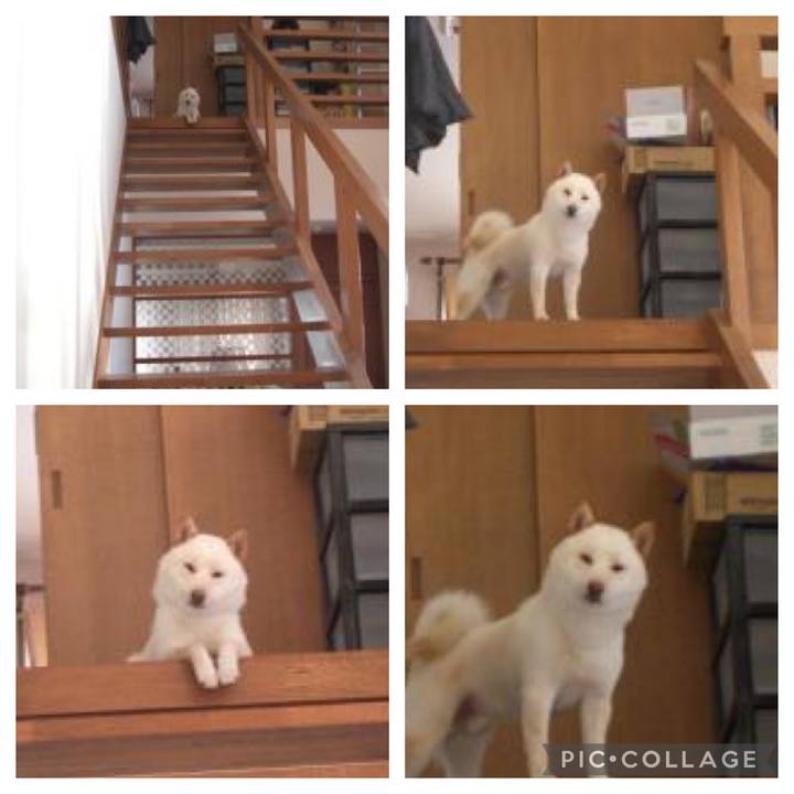 05de60f1 01b8 438c 8558 77d460dd06b0 1647896011546