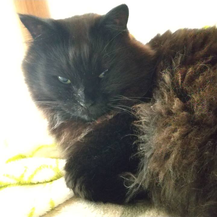 05de68e5 e314 402c ba13 78860428ad5c 1620600076692