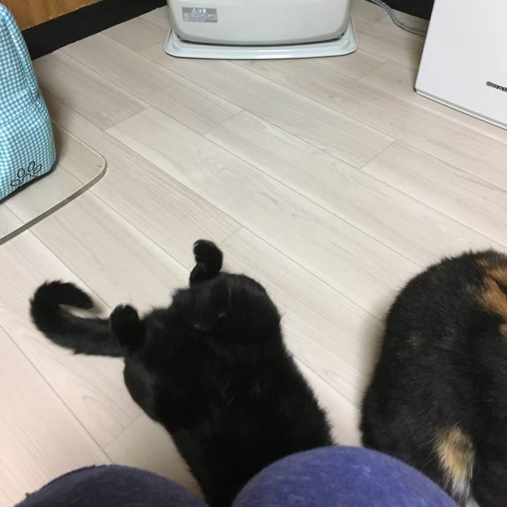 05de7f71 3a3c 4578 9a52 b14af84eee22 1510664224636