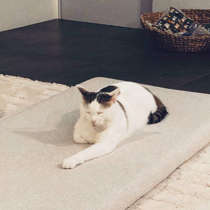 05de86ec 7d50 4c53 b6af 24bc1770fb35 1636200113101