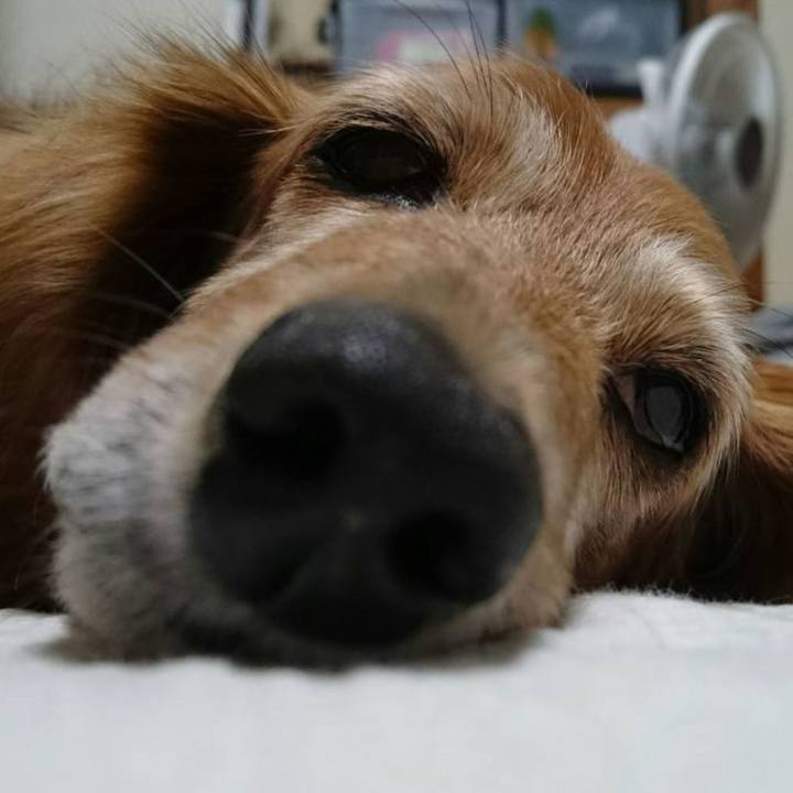 05de9a73 5c05 43fe bb48 7b175a5b013f 1564651885881