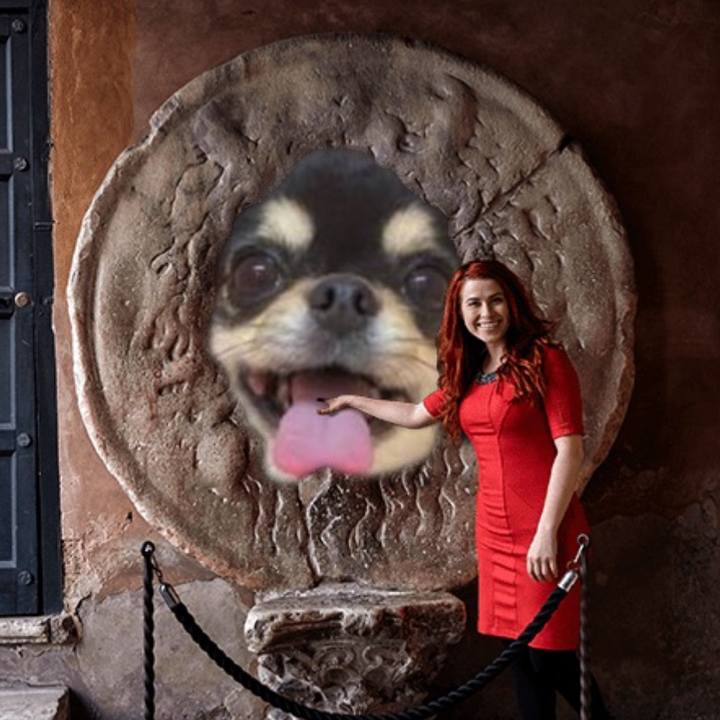 05dee725 90e1 4ef1 9a58 ef22b8e44e14 1615278785261