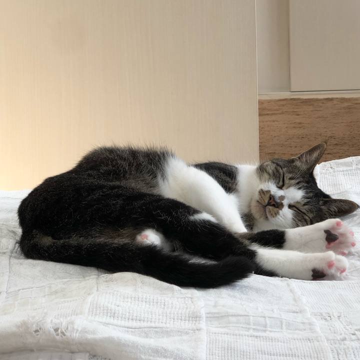 05deeaec bfe0 44b0 9592 055c106a4284 1528272497439