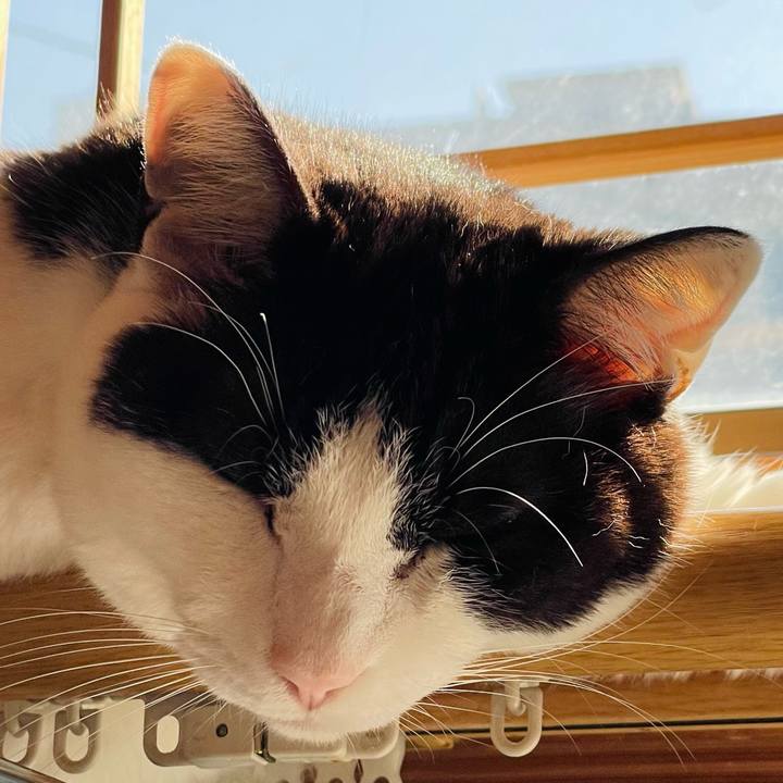 05df12ba 5e9b 4e36 bf0d 709431b8e178 1652495259228