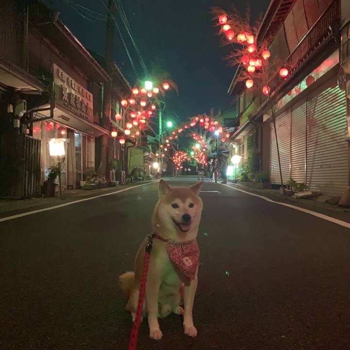 05df1ff6 567a 46bf b364 c8e5678c92c6 1657885694854