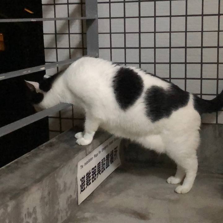 05df4a26 718f 4961 a4e0 f43ea203d6f1 1600785335977