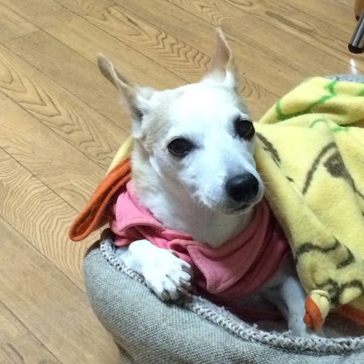 05df4b3c 9d9f 4716 aa44 4c852d75c7b1 1614159491964