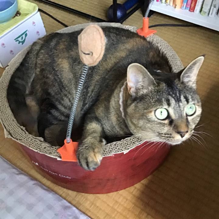 05df5d67 9a1f 4569 a5c5 bc2432c8ecd2 1693912590326